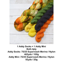 Load image into Gallery viewer, Fall Harvest | Sock Set