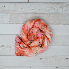 Load image into Gallery viewer, Flamingo | Aubs Worsted
