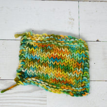 Load image into Gallery viewer, Crazy Daisy | Aubs Worsted