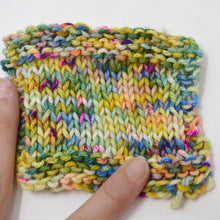 Load image into Gallery viewer, Coral Reef | Aubs Worsted