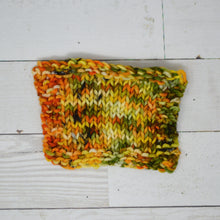 Load image into Gallery viewer, Fall Harvest | Aubs Worsted