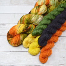 Load image into Gallery viewer, Fall Harvest | Sock Set