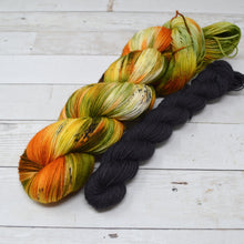 Load image into Gallery viewer, Fall Harvest | Sock Set