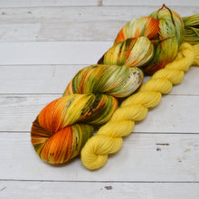 Load image into Gallery viewer, Fall Harvest | Sock Set