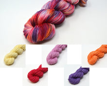 Load image into Gallery viewer, Sarah Variegated | Sock Set