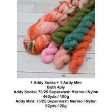 Load image into Gallery viewer, Flamingo | Sock Set