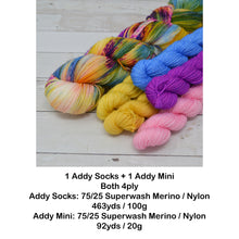 Load image into Gallery viewer, Coral Reef | Sock Set