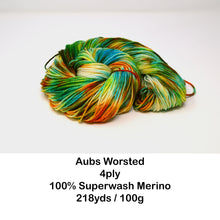 Load image into Gallery viewer, Crazy Daisy | Aubs Worsted