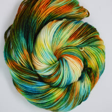 Load image into Gallery viewer, Crazy Daisy | Aubs Worsted