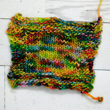 Load image into Gallery viewer, Macaw | Darren Singles