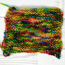 Load image into Gallery viewer, Macaw | Stardust Sparkle