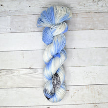 Load image into Gallery viewer, Heading South | Addy Socks