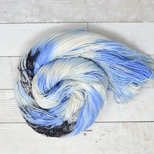 Load image into Gallery viewer, Heading South | Addy Socks