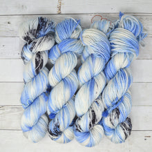 Load image into Gallery viewer, Heading South | Addy Socks