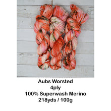 Load image into Gallery viewer, Flamingo | Aubs Worsted